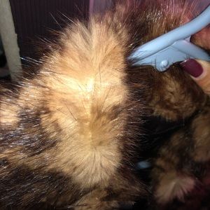 Real Fur and leather Jacket